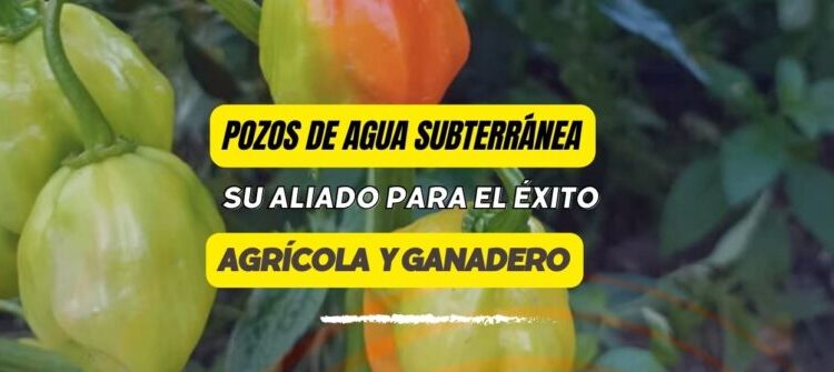  Pozos de Agua Subterránea en Venezuela