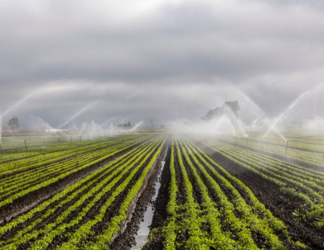 5 razones para hacer un pozo de agua | Hidrogeo Corp