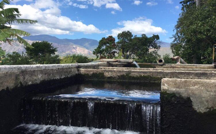  Pozos profundos vs artesanales: ¿Cuál es mejor para tu finca? 