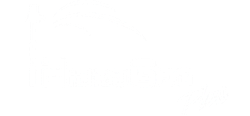 Hidrogeo | Perforación de Pozos y Estudios Hidrogeológicos en Venezuela